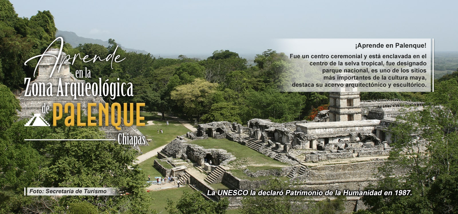 ¡Aprende en Palenque!