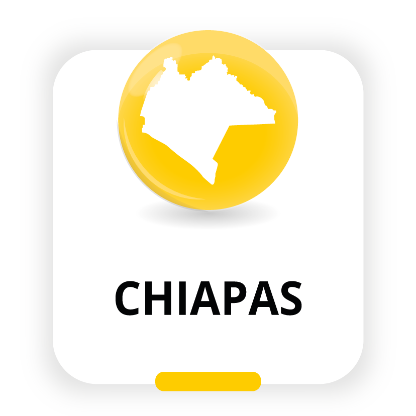 Estado de Chiapas