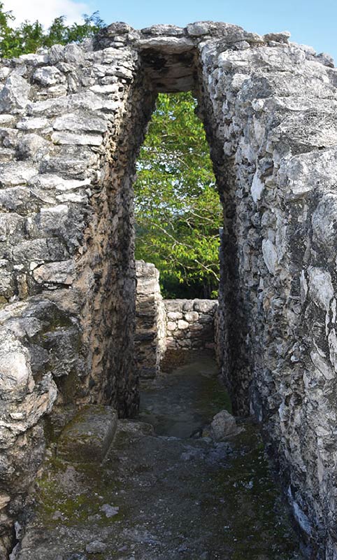 Calakmul que en maya significa “montículos adyacentes”. Foto: Mario Martínez