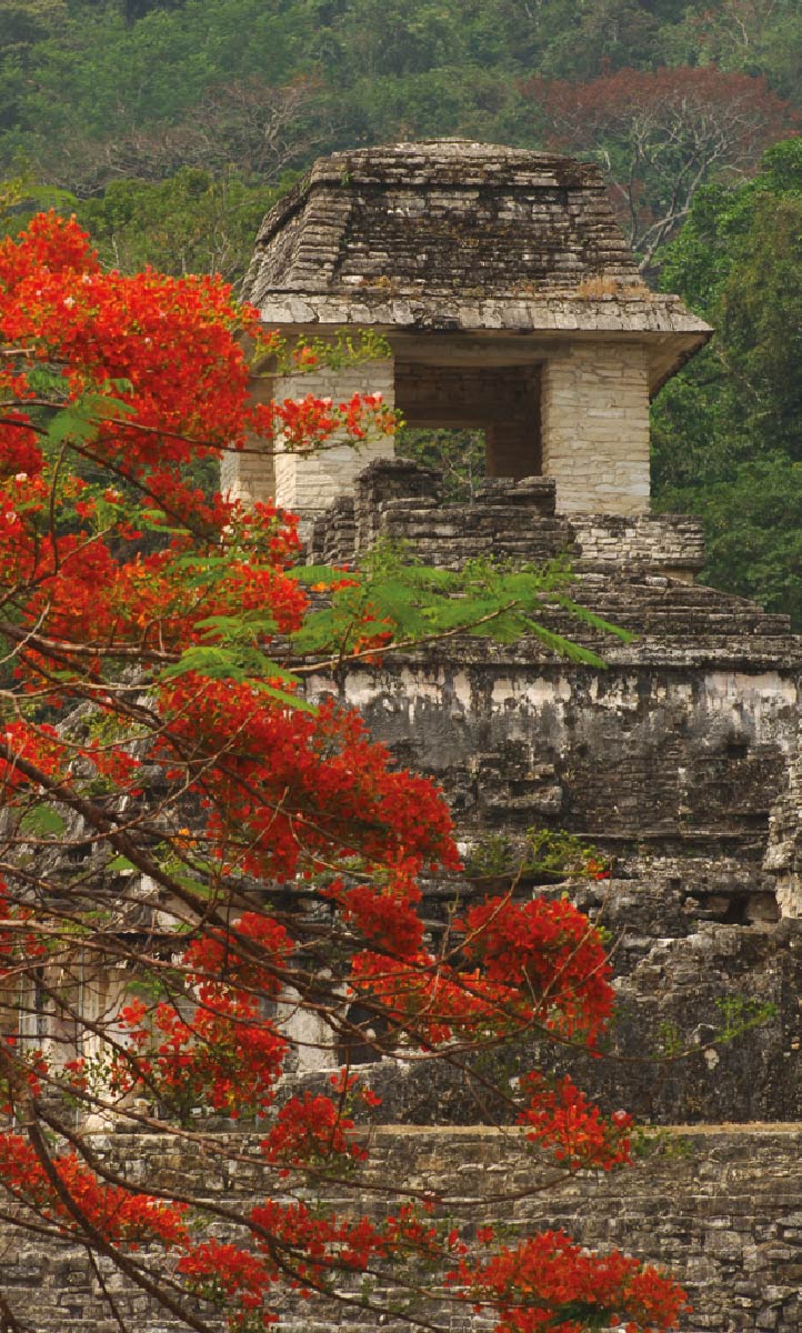 El Observatorio Z.A. de Palenque. Foto: Paolo Piccioto
